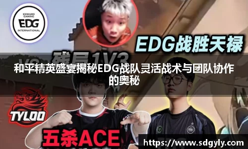 和平精英盛宴揭秘EDG战队灵活战术与团队协作的奥秘